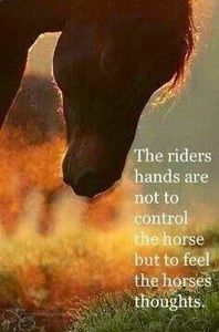 Meet your Posher, Michele